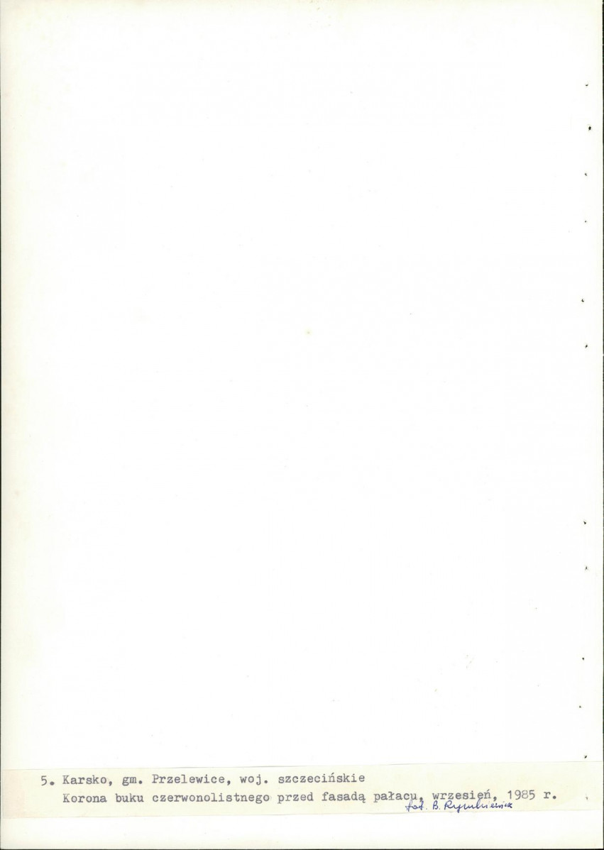 Ewidencja parkowa, skan nr 27