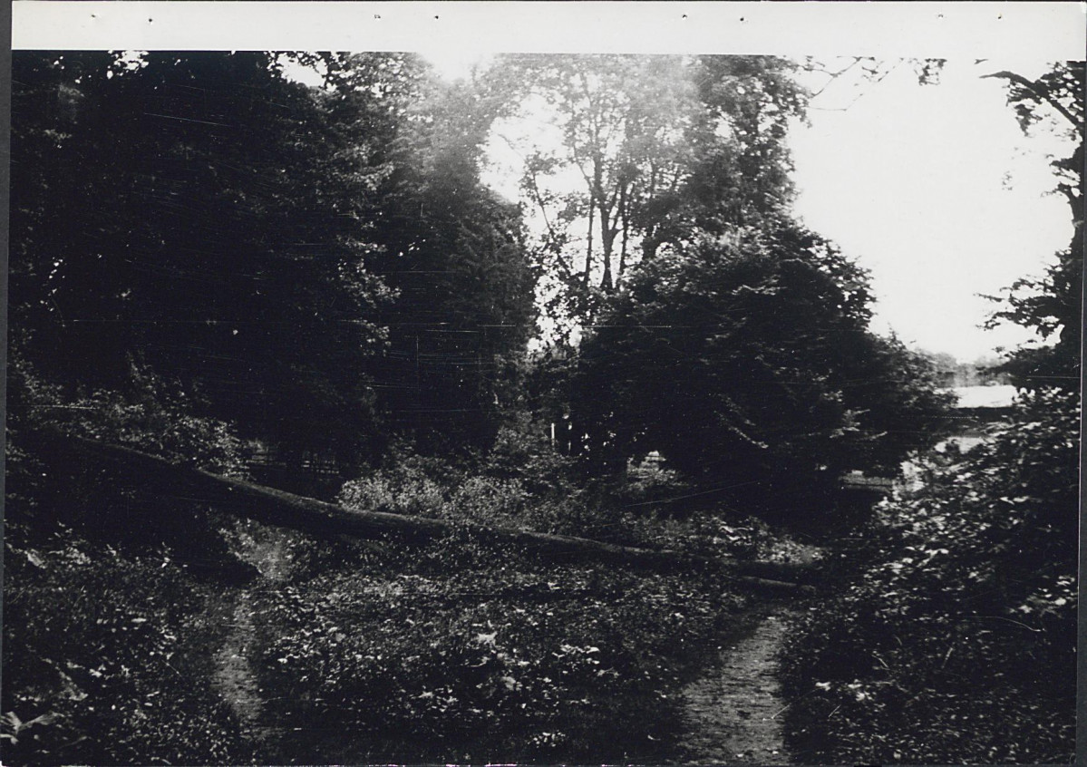Ewidencja parkowa, skan nr 24