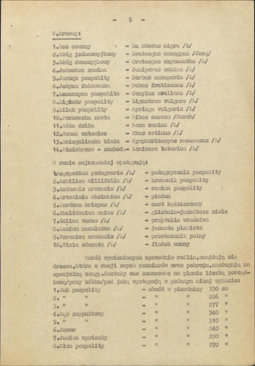 Ewidencja parkowa, skan nr 11