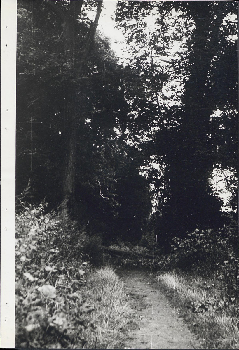 Ewidencja parkowa, skan nr 30