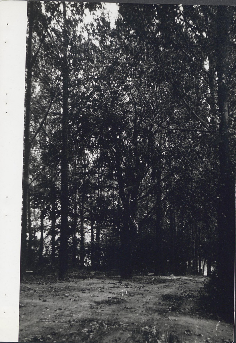 Ewidencja parkowa, skan nr 23