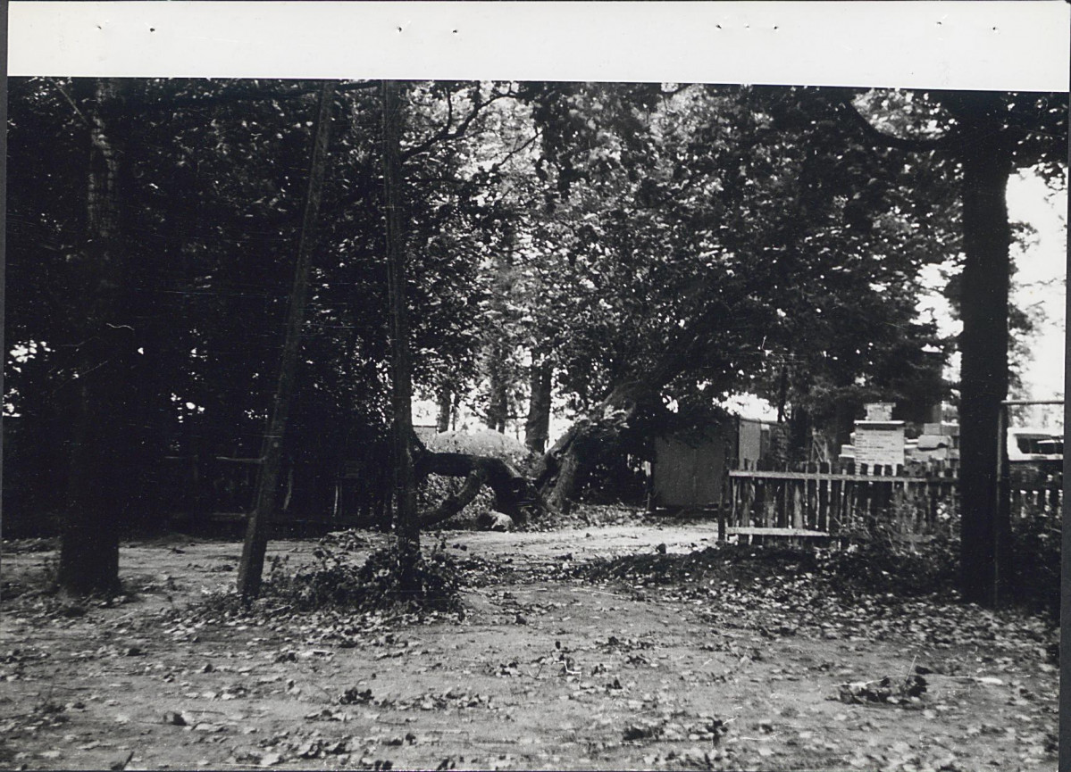 Ewidencja parkowa, skan nr 25