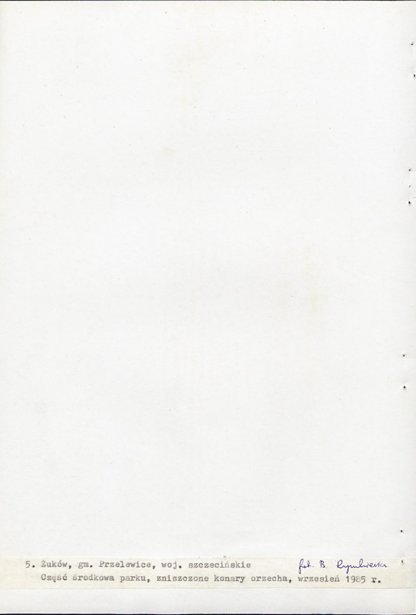 Ewidencja parkowa, skan nr 26