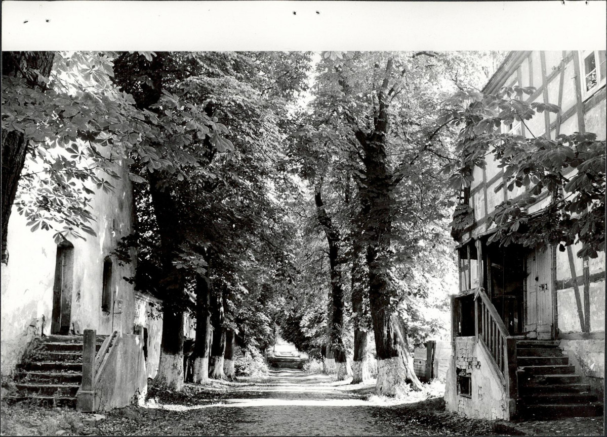 Ewidencja parkowa, skan nr 29