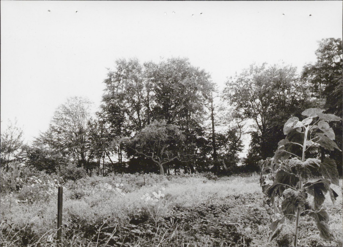 Ewidencja parkowa, skan nr 21