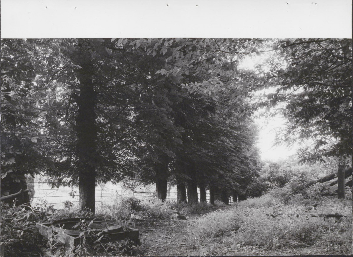 Ewidencja parkowa, skan nr 21