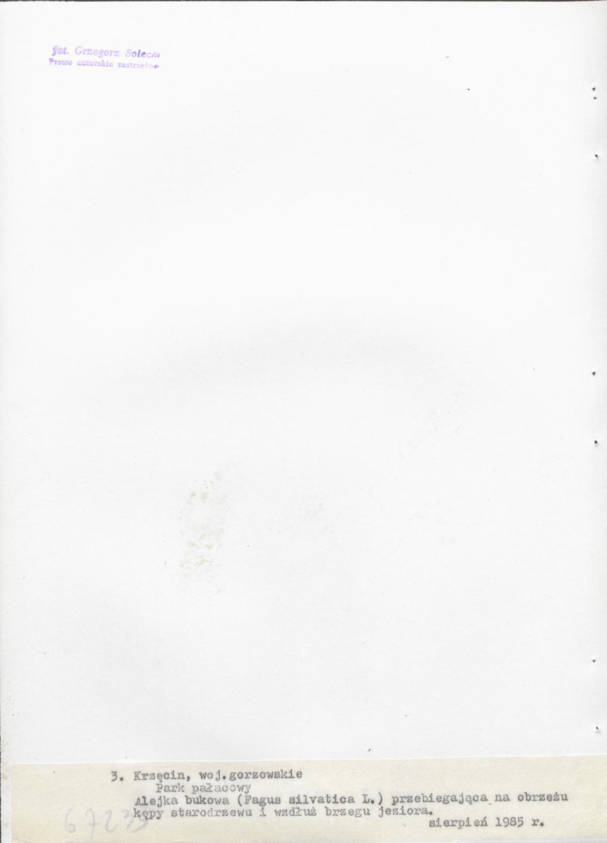 Ewidencja parkowa, skan nr 24