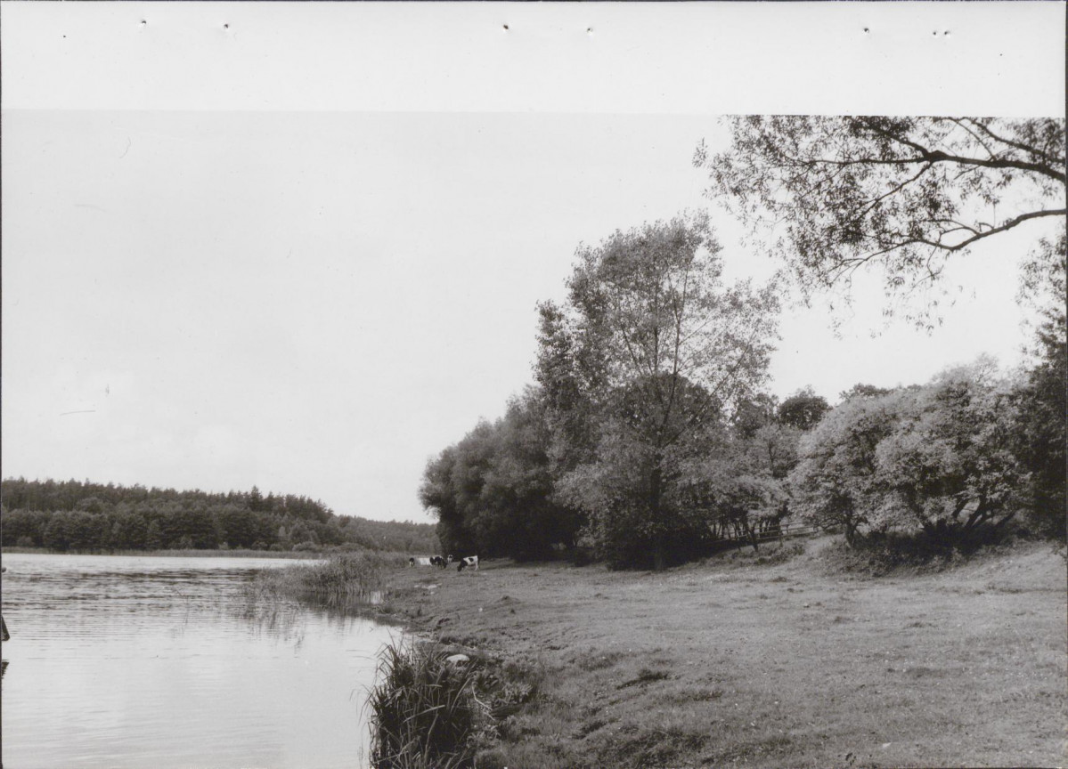 Ewidencja parkowa, skan nr 35
