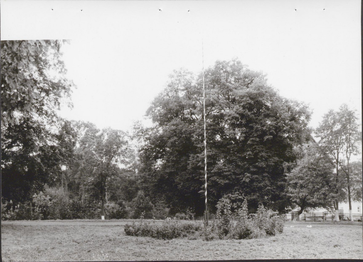 Ewidencja parkowa, skan nr 21