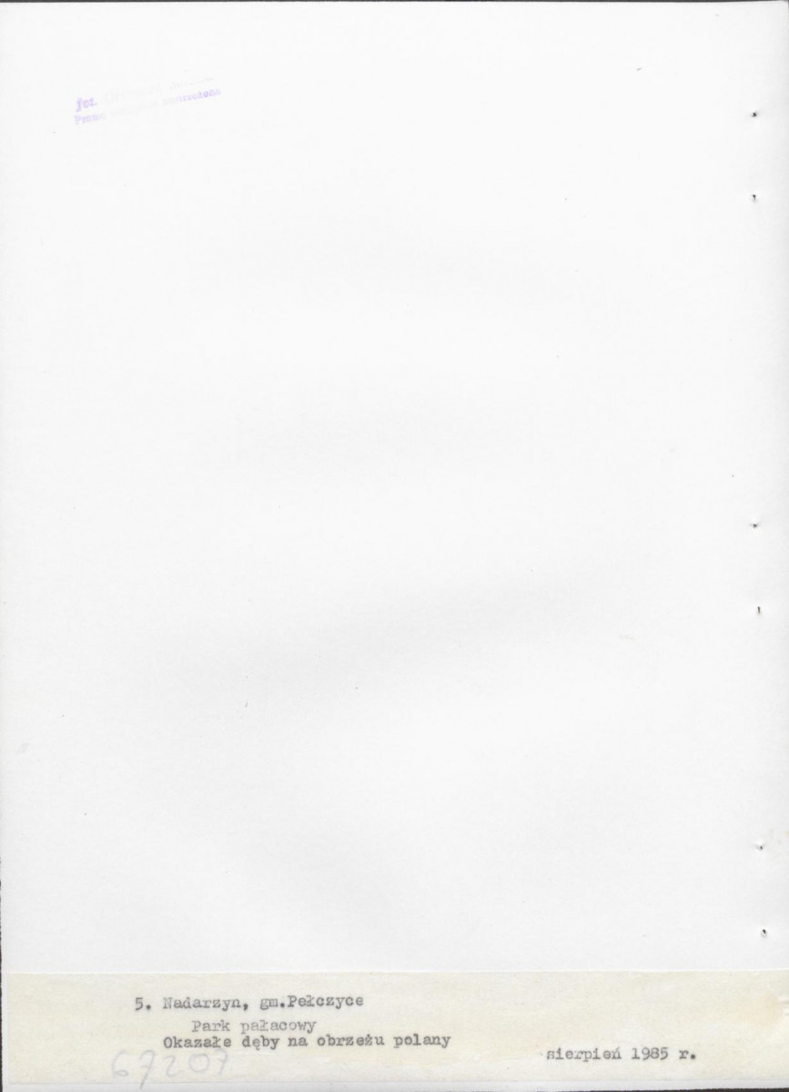 Ewidencja parkowa, skan nr 28
