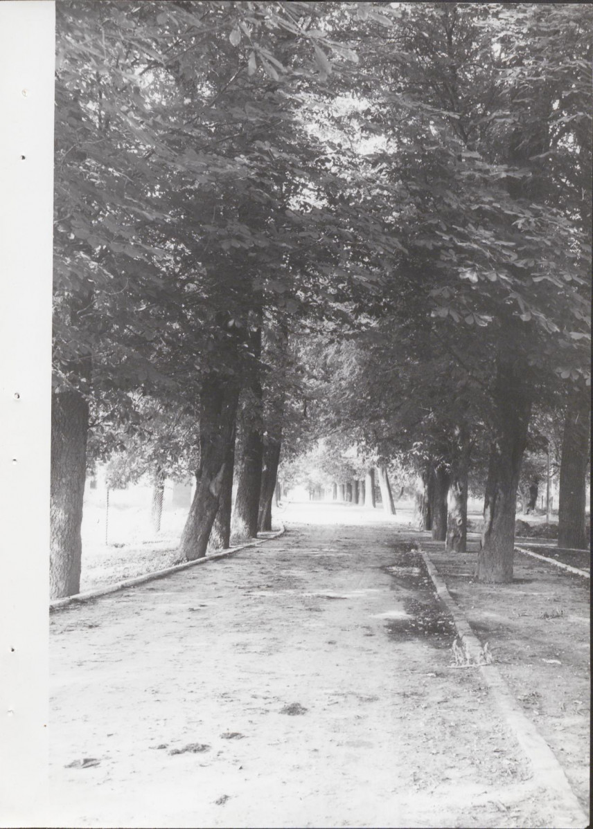 Ewidencja parkowa, skan nr 24