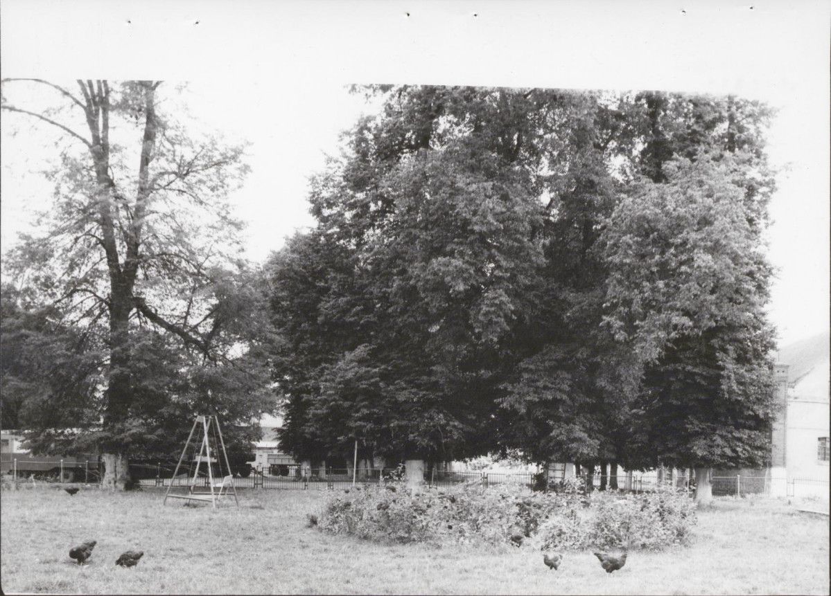 Ewidencja parkowa, skan nr 20