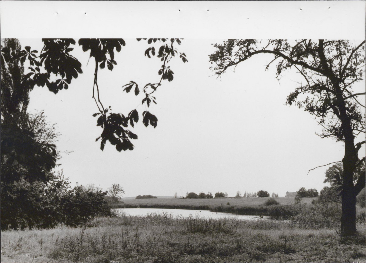 Ewidencja parkowa, skan nr 28