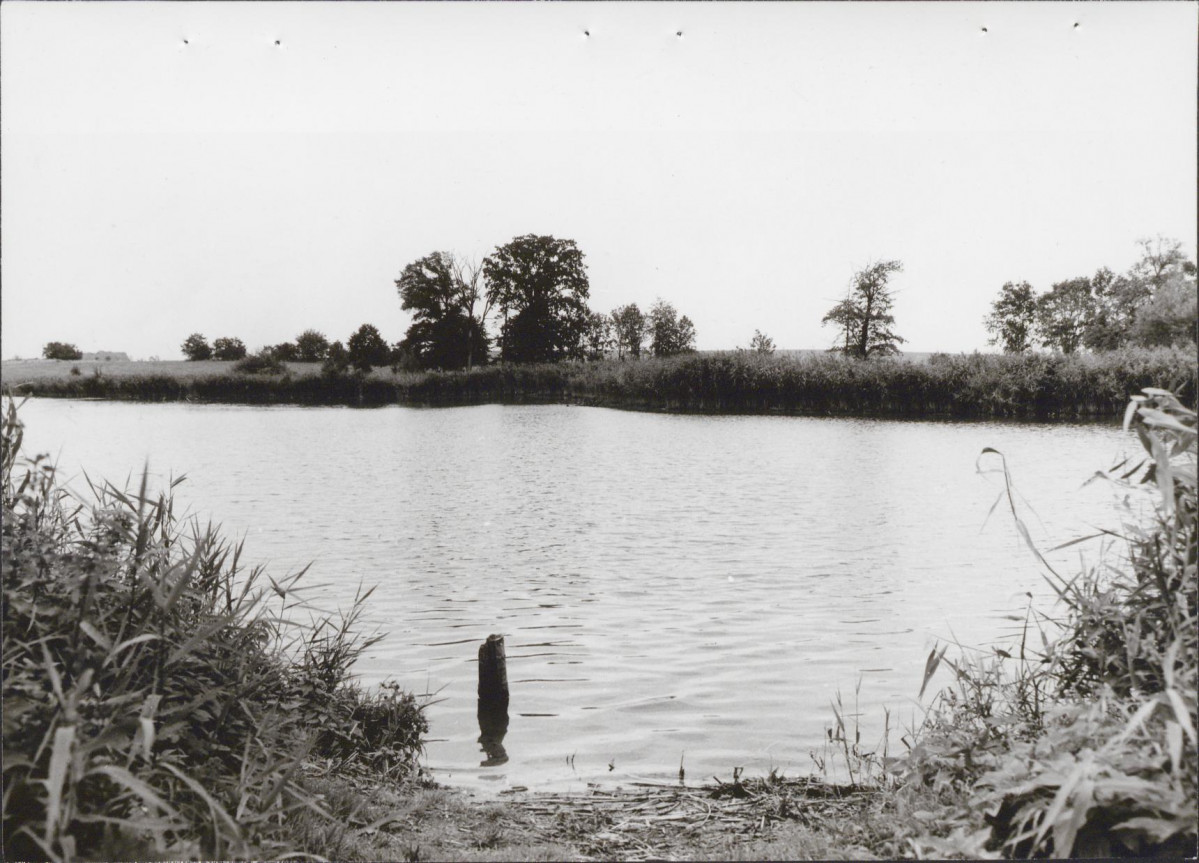 Ewidencja parkowa, skan nr 30