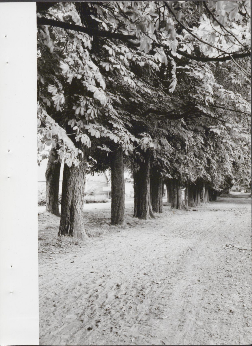 Ewidencja parkowa, skan nr 32