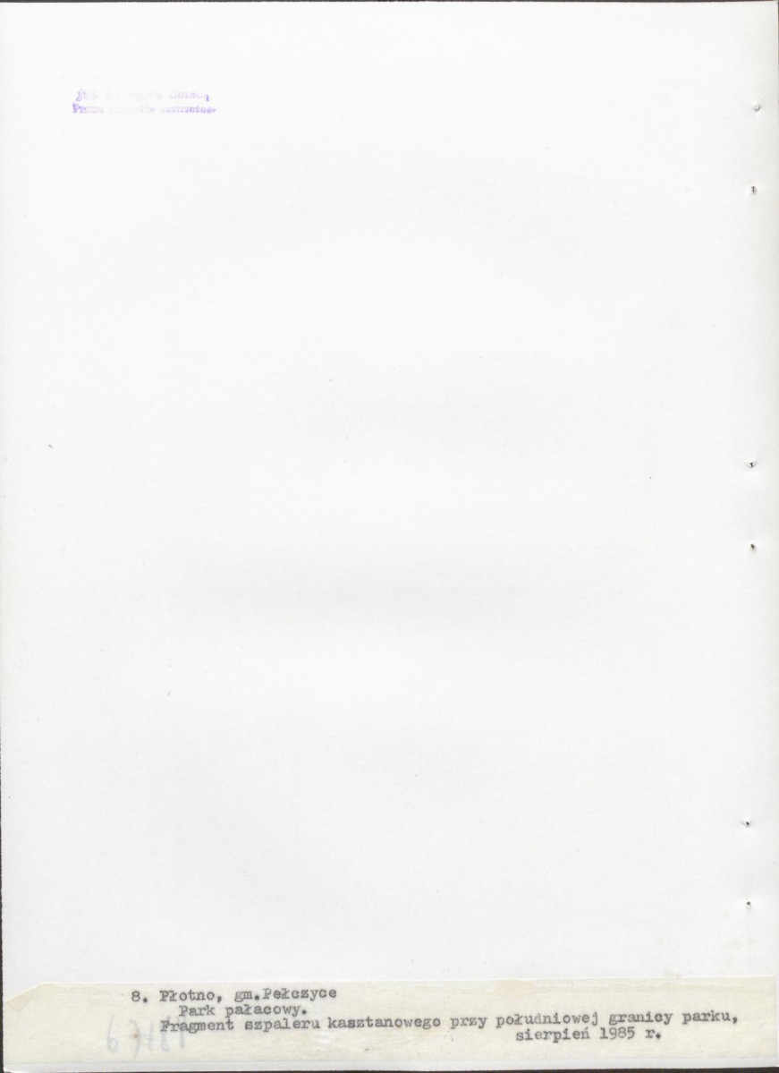 Ewidencja parkowa, skan nr 33