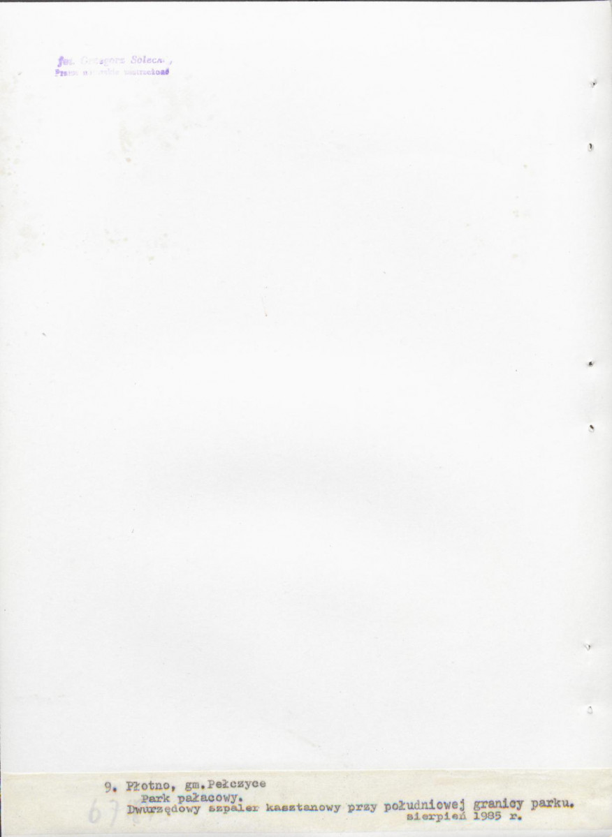 Ewidencja parkowa, skan nr 35