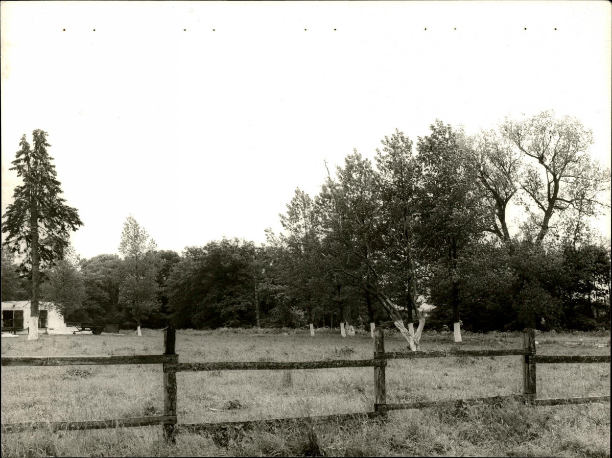 Ewidencja parkowa, skan nr 20