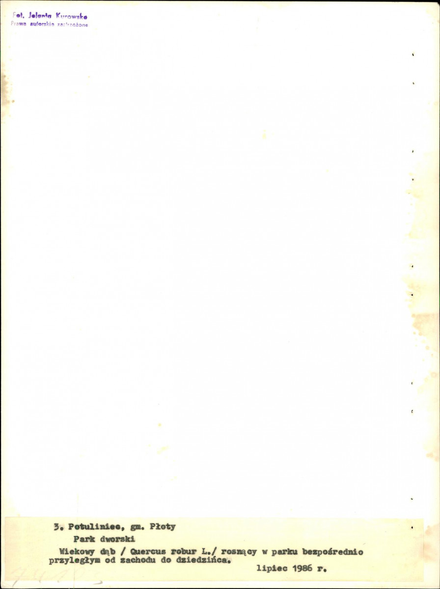 Ewidencja parkowa, skan nr 23