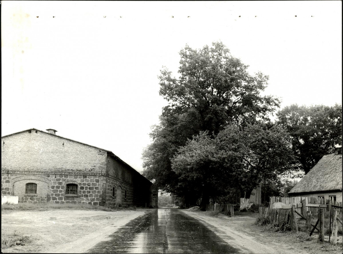 Ewidencja parkowa, skan nr 26