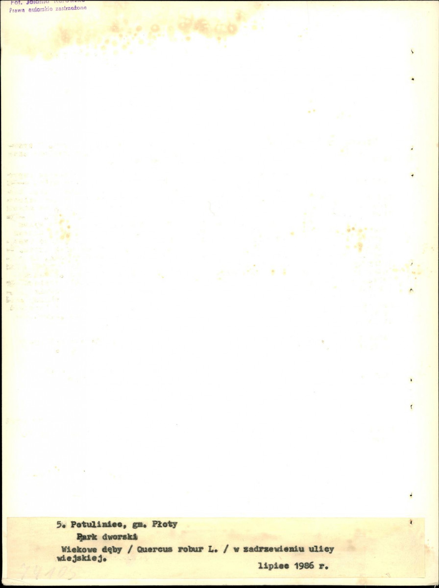 Ewidencja parkowa, skan nr 27