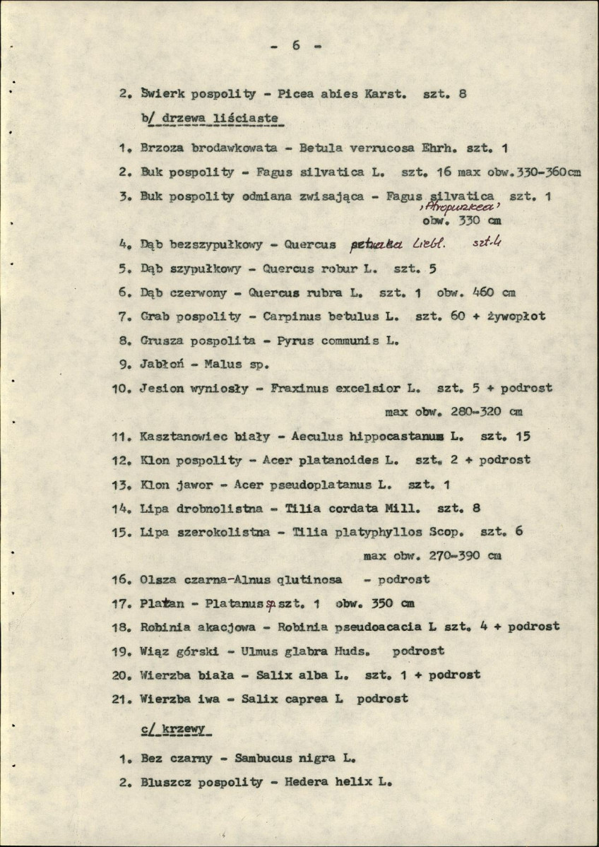 Ewidencja parkowa, skan nr 11