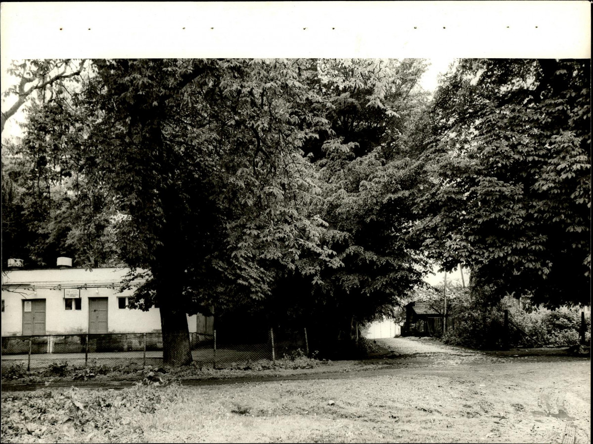 Ewidencja parkowa, skan nr 24