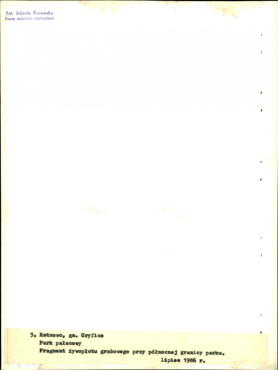 Ewidencja parkowa, skan nr 29