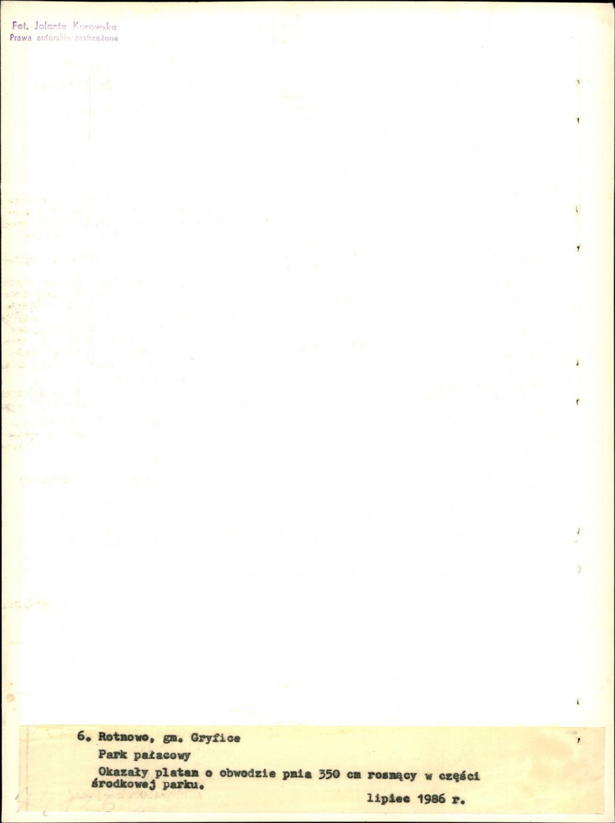 Ewidencja parkowa, skan nr 31