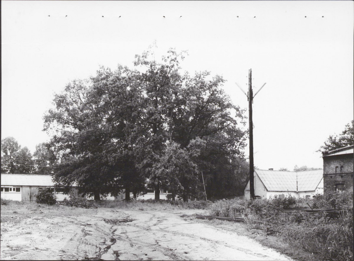 Ewidencja parkowa, skan nr 20