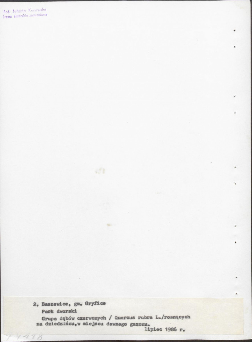 Ewidencja parkowa, skan nr 21