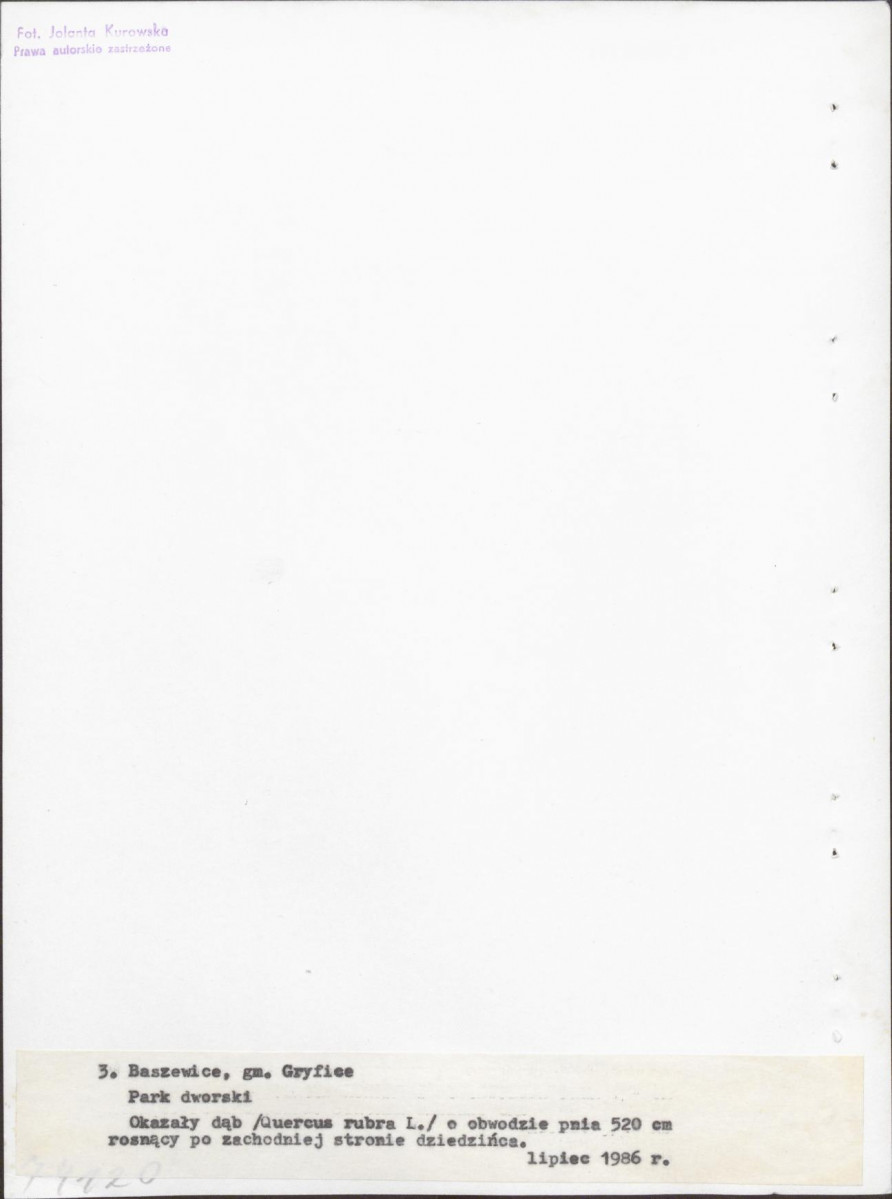 Ewidencja parkowa, skan nr 23