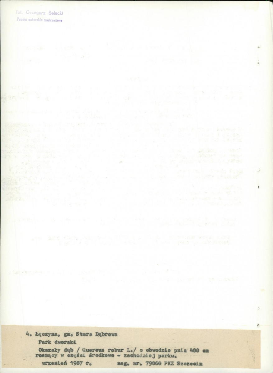 EP - Ewidencja parkowa, skan nr 24