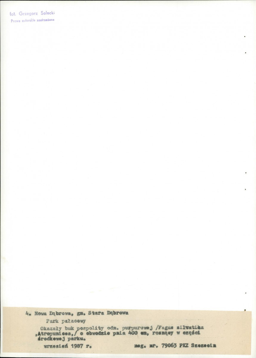 EP - Ewidencja parkowa, skan nr 27