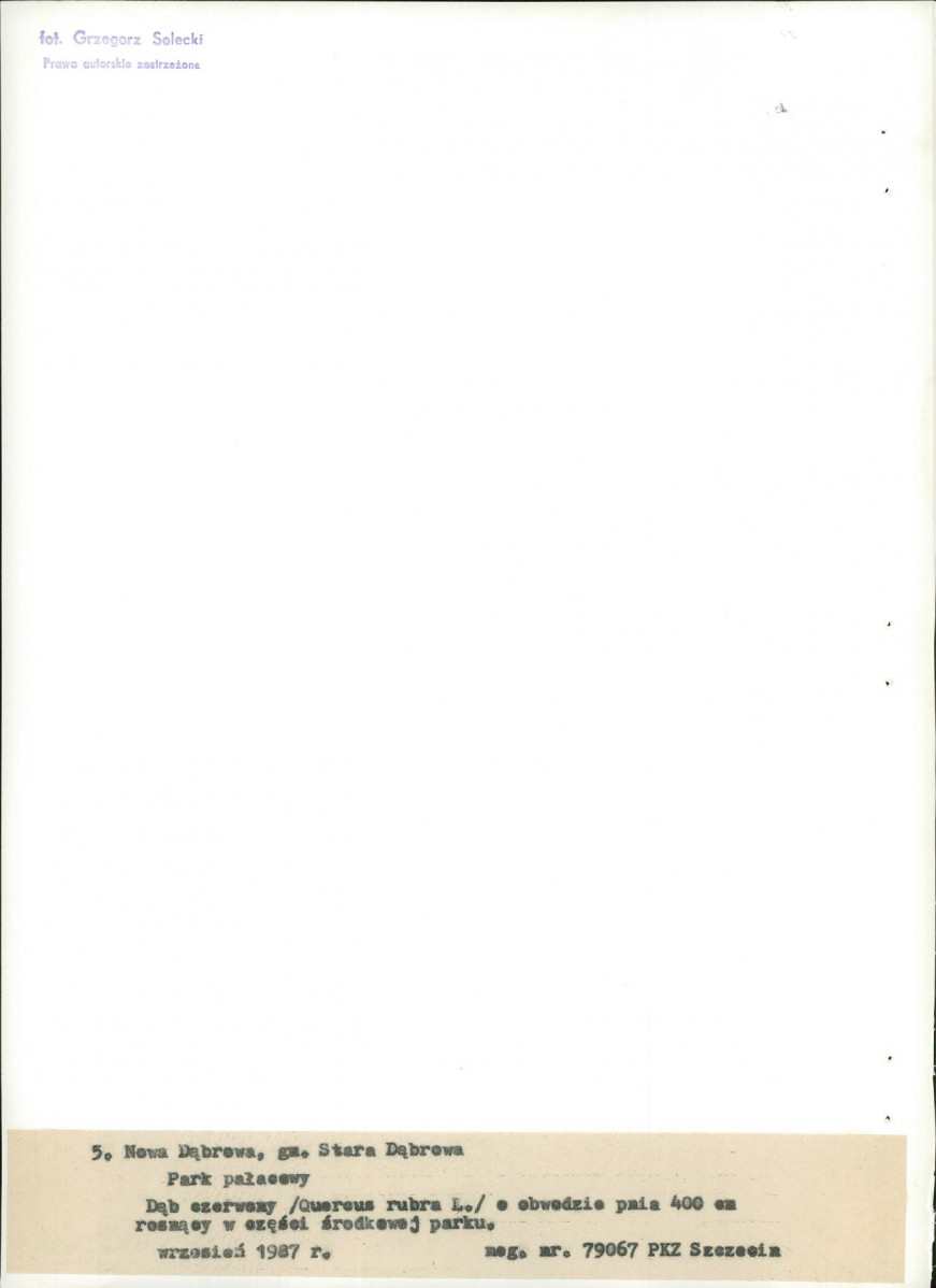 EP - Ewidencja parkowa, skan nr 29