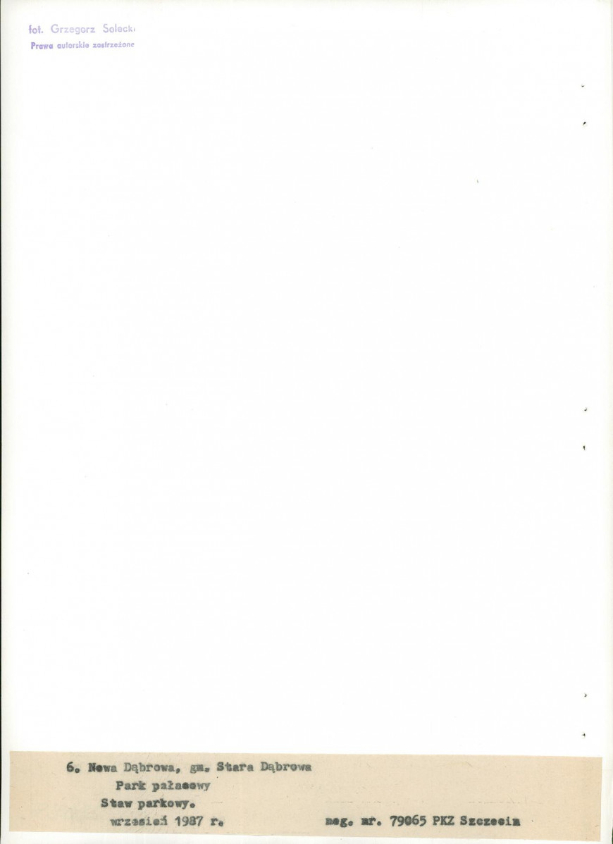 EP - Ewidencja parkowa, skan nr 31