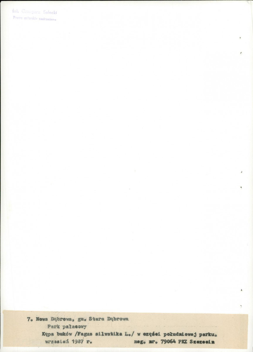 EP - Ewidencja parkowa, skan nr 33