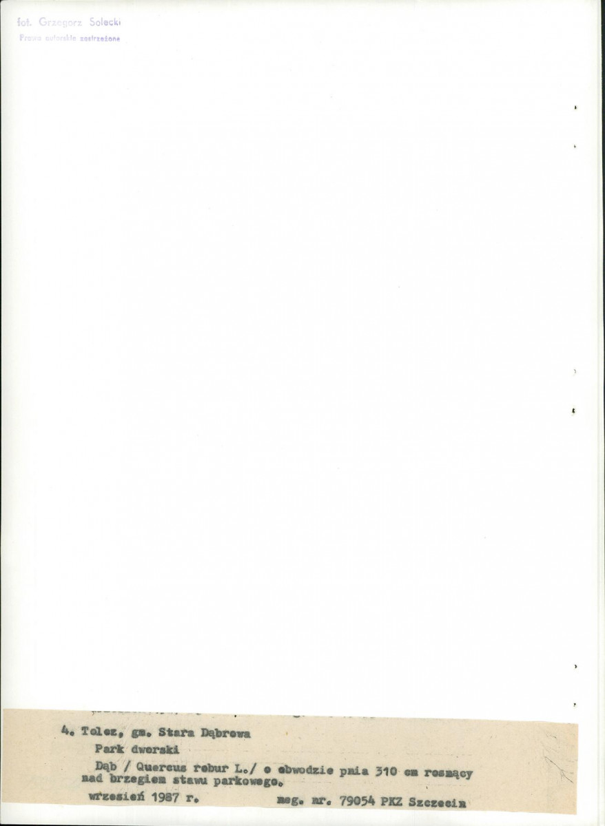 EP - Ewidencja parkowa, skan nr 31