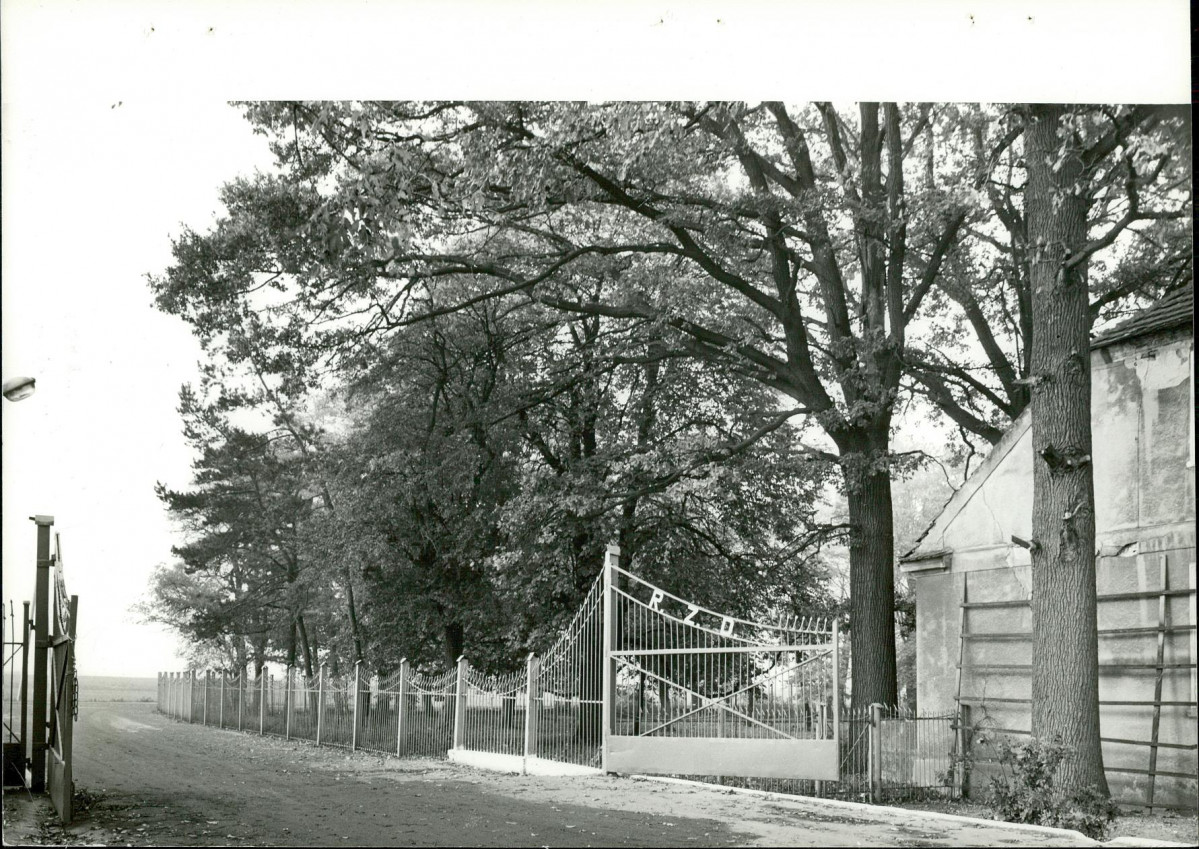 Ewidencja parkowa, skan nr 19