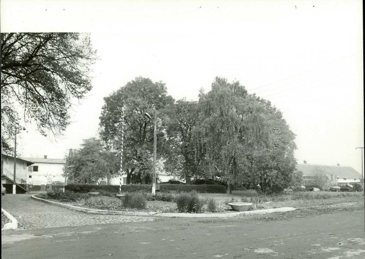 Ewidencja parkowa, skan nr 21
