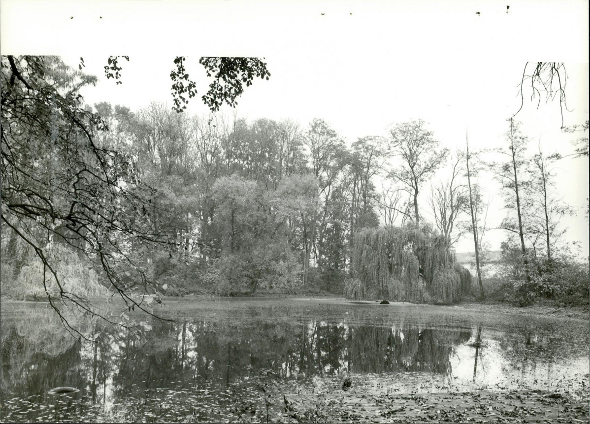 Ewidencja parkowa, skan nr 31