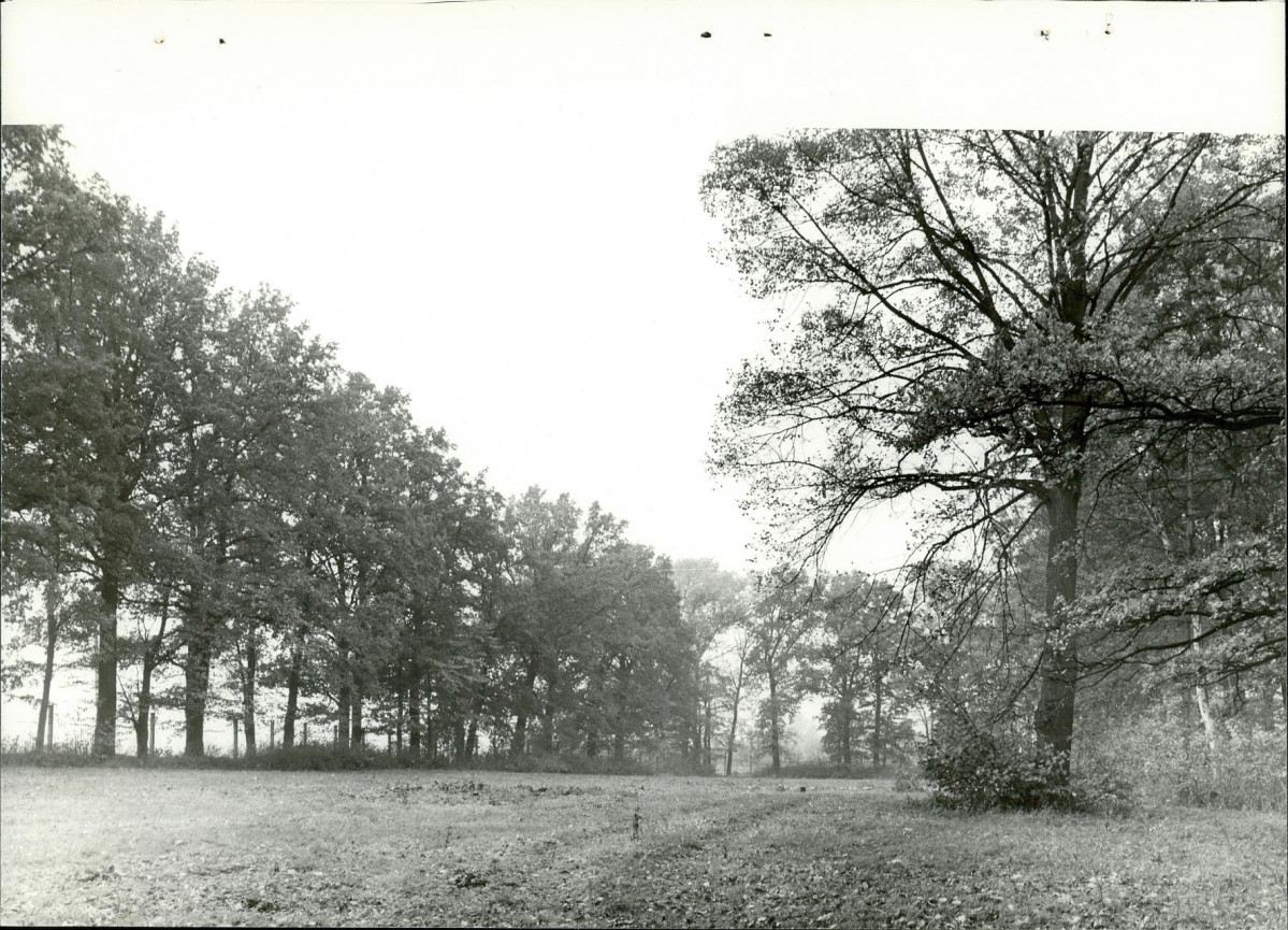 Ewidencja parkowa, skan nr 33