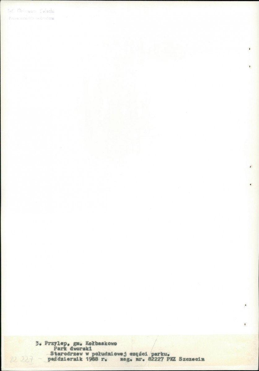 Ewidencja parkowa, skan nr 22