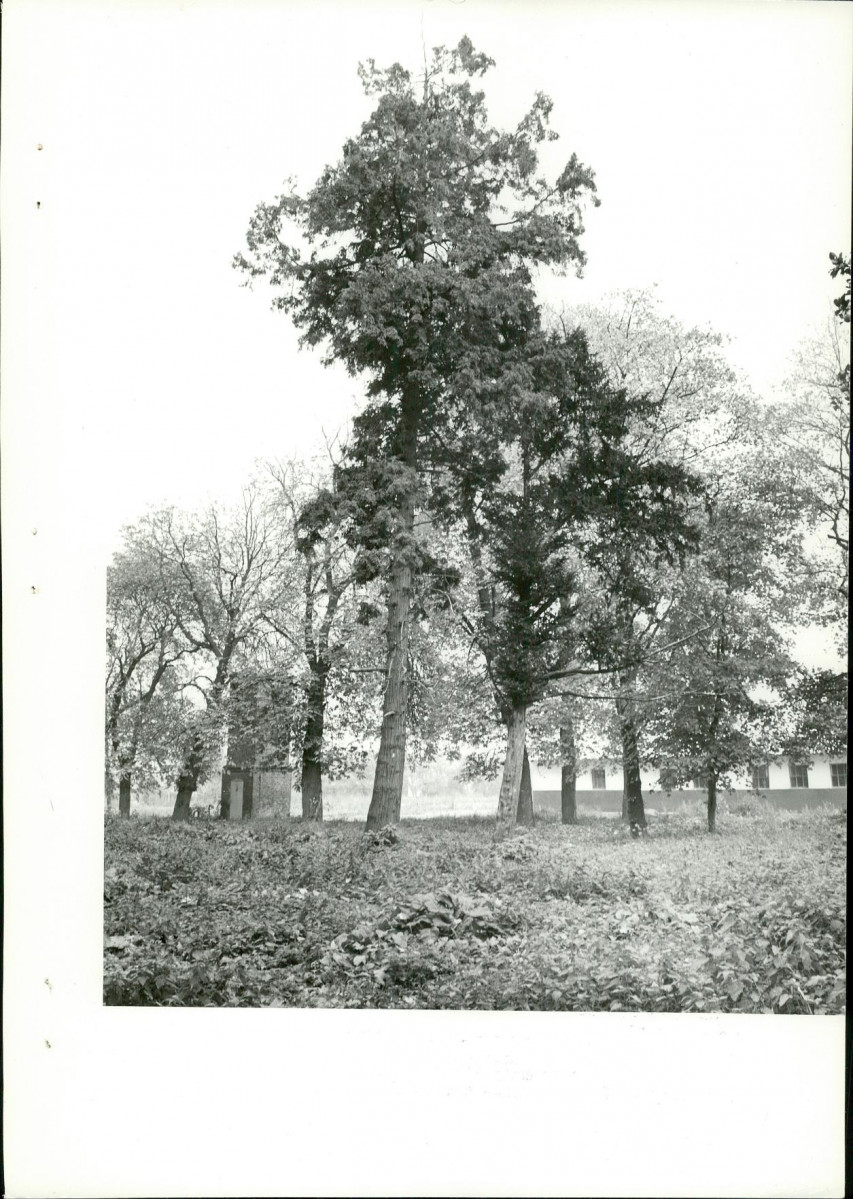 Ewidencja parkowa, skan nr 23
