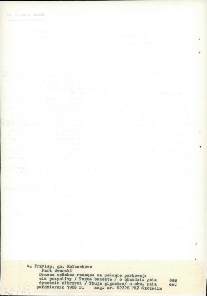 Ewidencja parkowa, skan nr 24