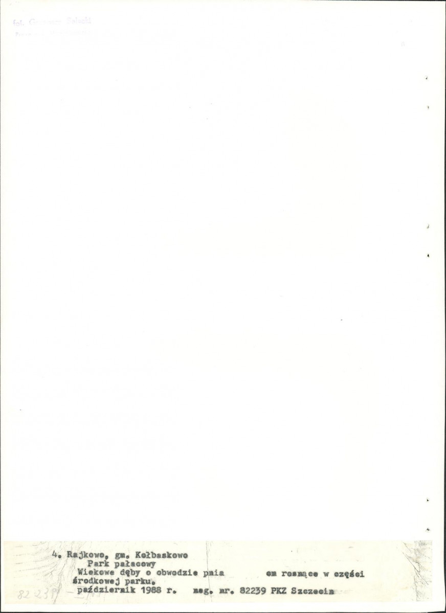 Ewidencja parkowa, skan nr 24
