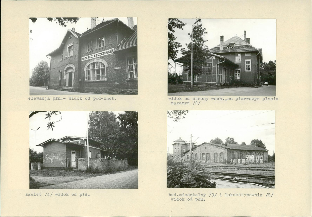 Karta biała, skan nr 6