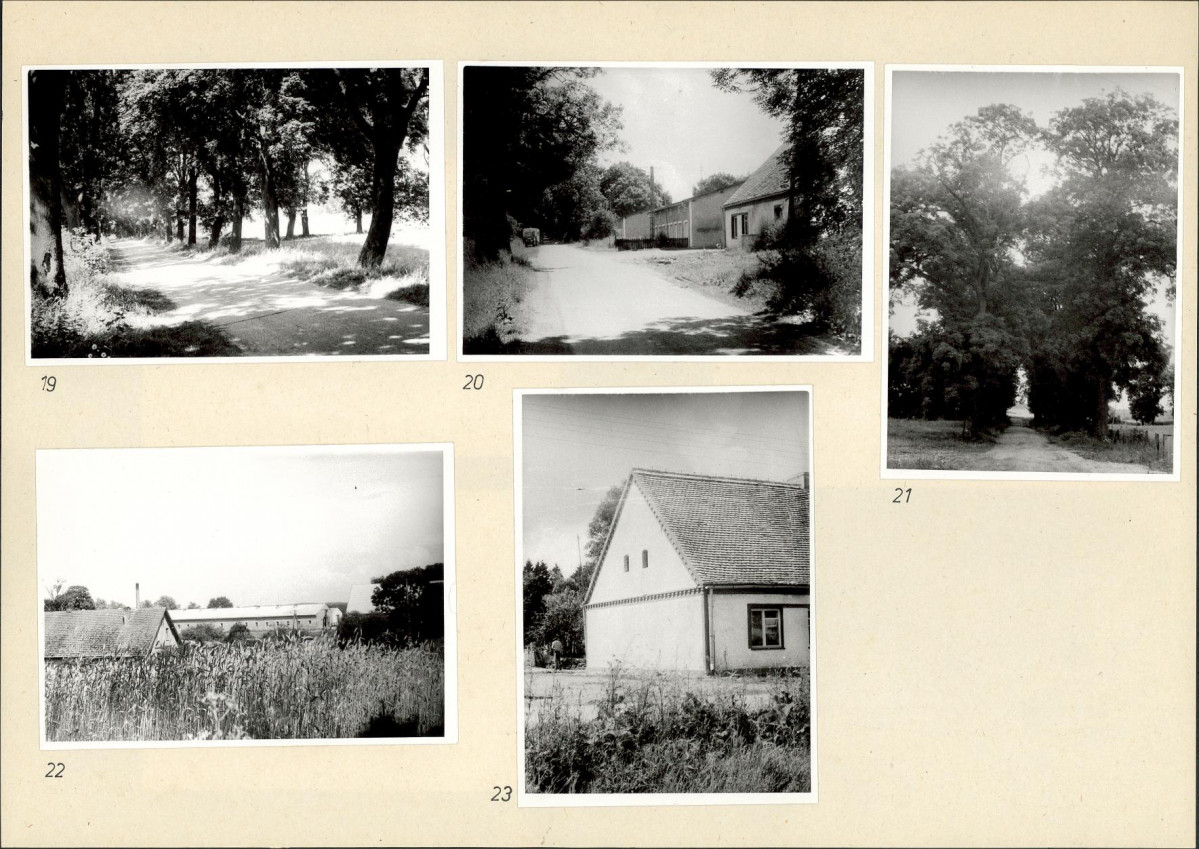Karta biała, skan nr 12