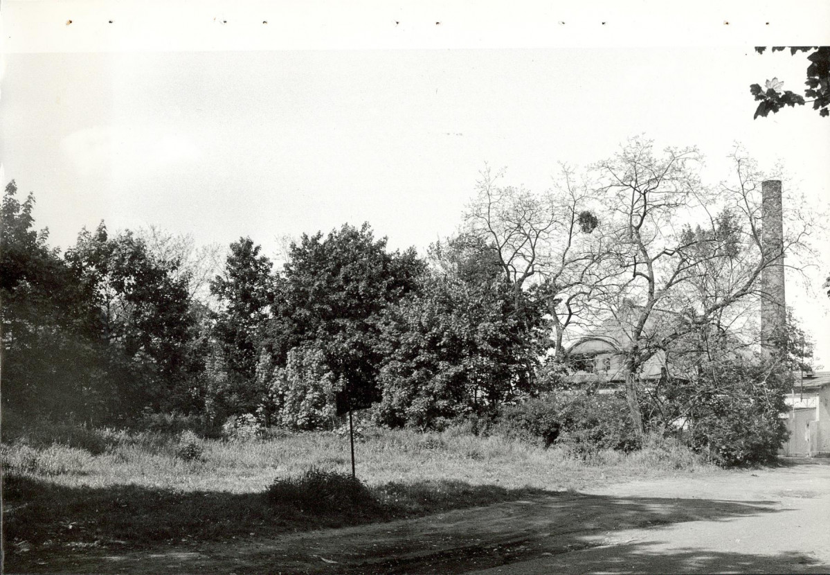 Ewidencja parkowa, skan nr 19