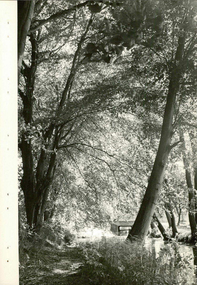 Ewidencja parkowa, skan nr 23